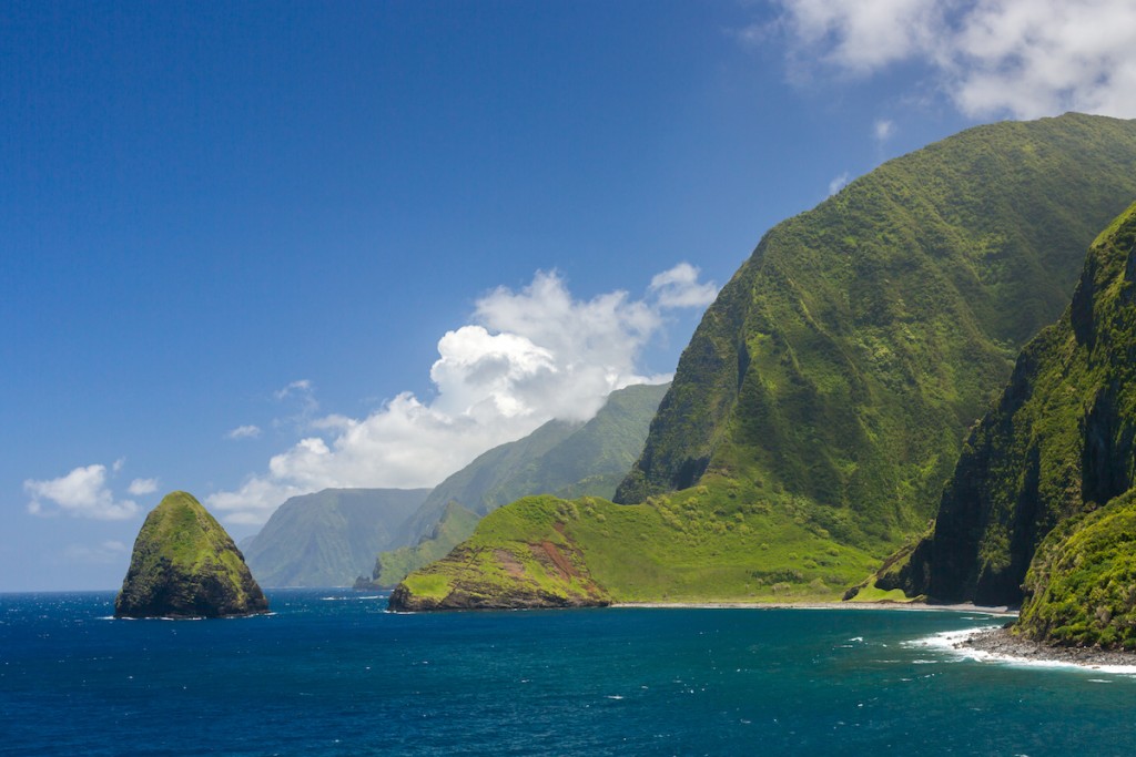 Sea Cliffs