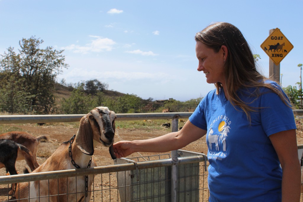 Haleakala Creamery Farm Tour