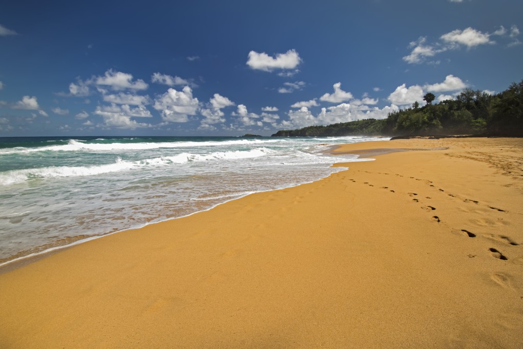 Secret Beach Or Kauapea Beach, North Shore, Kauai, Hawaii. Looking Towards Kilauea Lighthouse