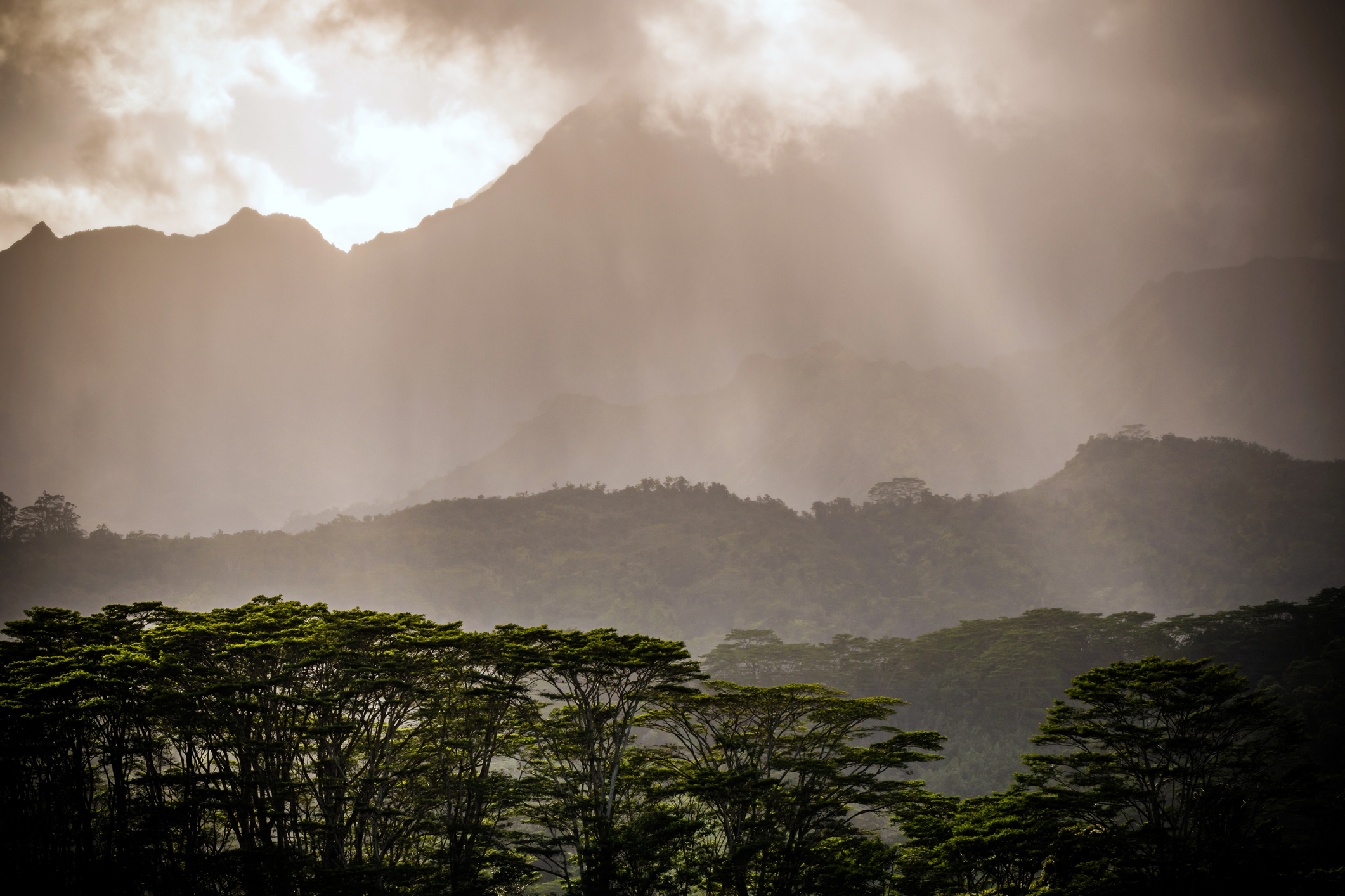 Hawaiians Have More Than 200 Words for Rain - HAWAIʻI Magazine
