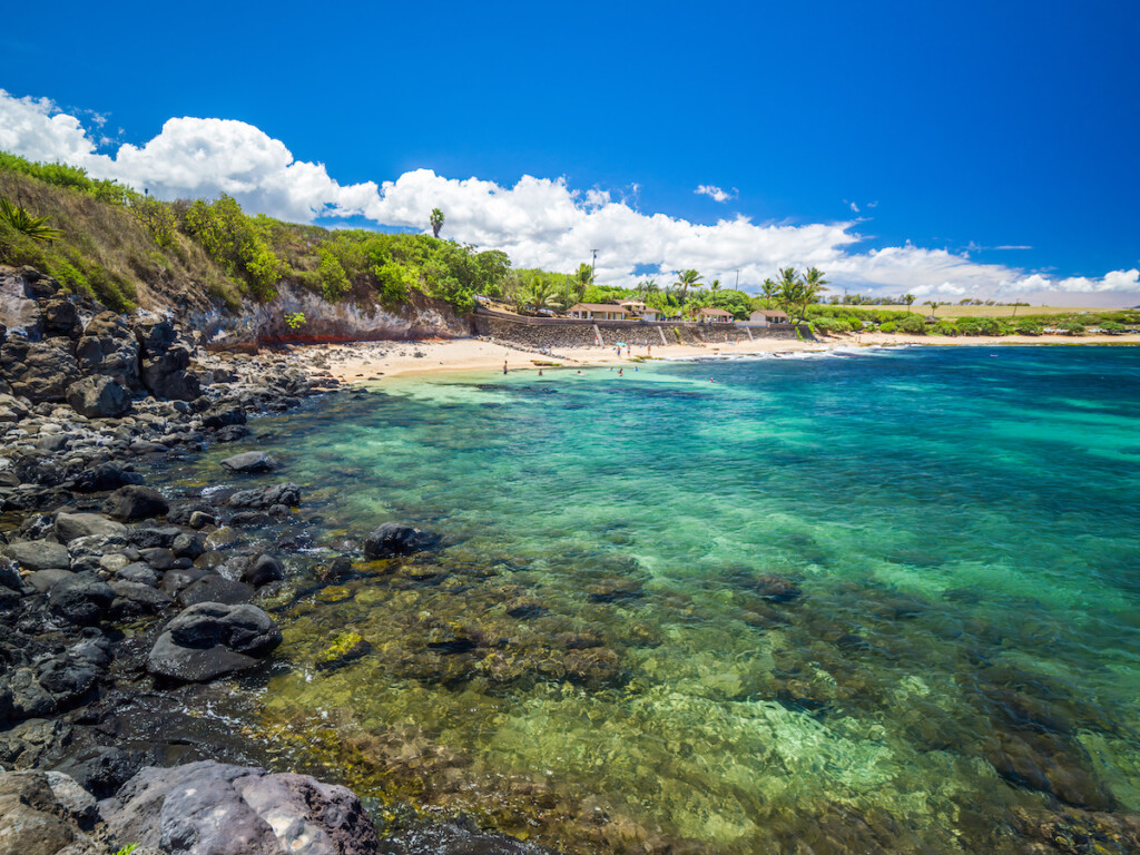 Ho'okipa Beach Park In Maui Hawaii, Windsurfing Site, Big Waves And Big Turtles