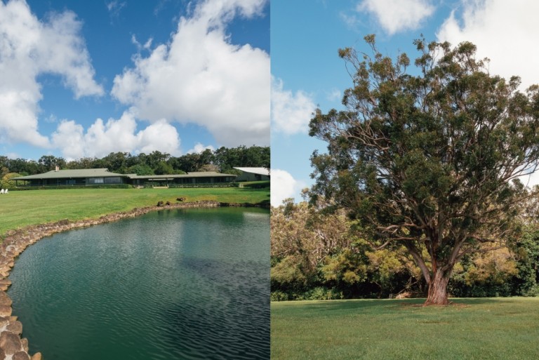 02-16-Preserving-Paradise-Featured