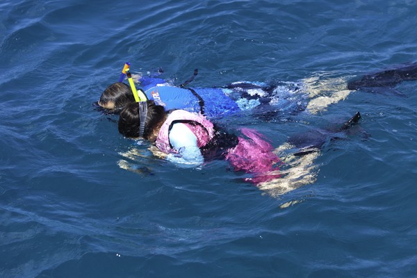 Waikiki_lunch_and_snorkel_catamaran_sail
