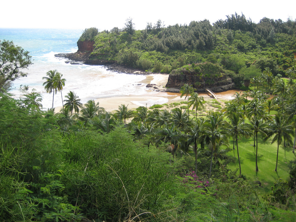 national tropical botanical garden kauai
