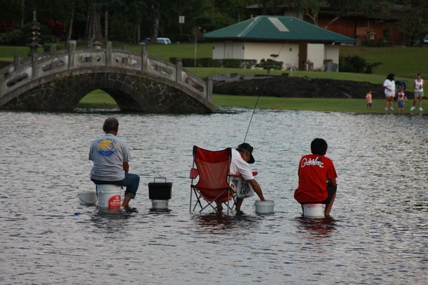 Hawaii_reader_photo_week