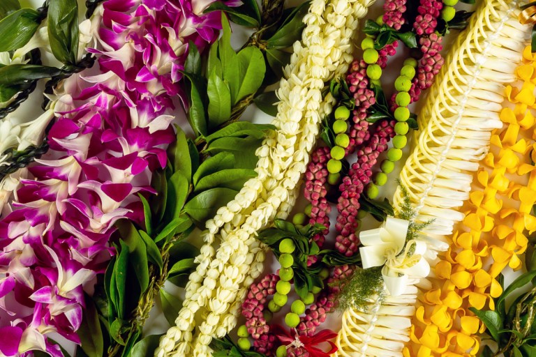 2018-Leis-768x512.jpg