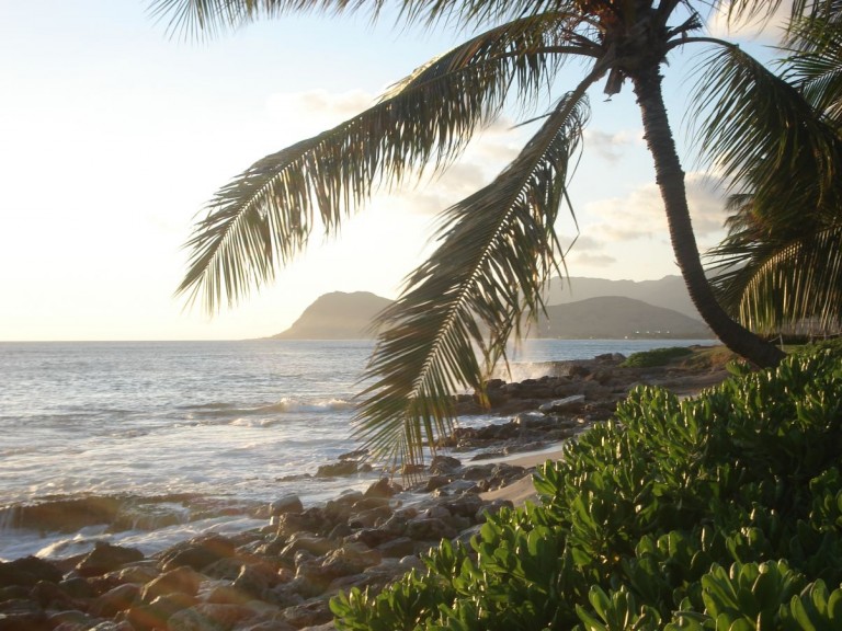 hawaii aloha