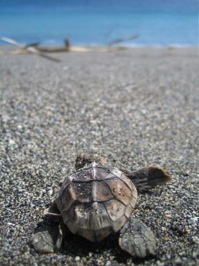 576270_522127611147913_540456605_n