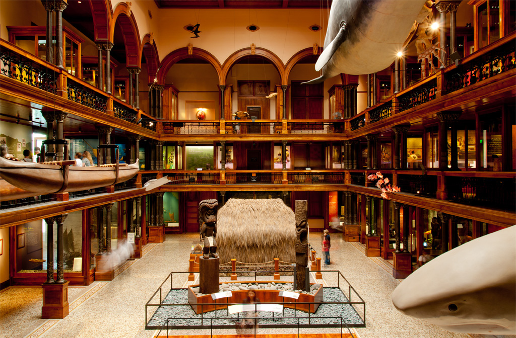 bishop museum best museum hawaii magazine 2016
