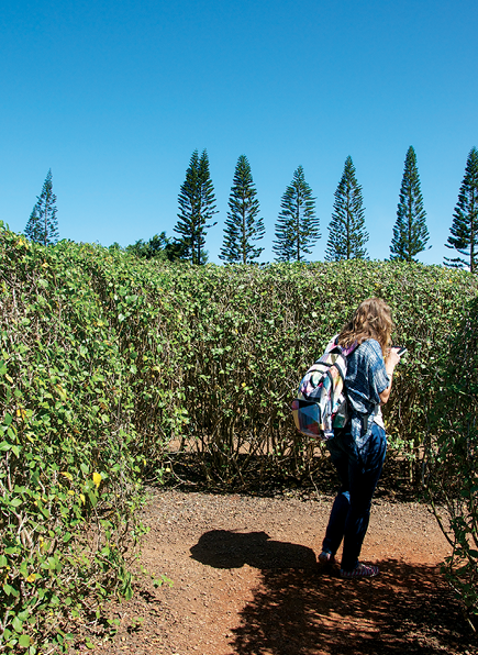 dole plantation maze