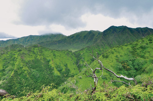 hawaii_magazine_great_hawaii_hiking_trails
