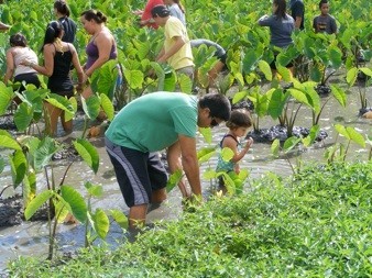 Hawaii_Oahu_Maui_Kauai_Big Island_Earth Day_volunteer_voluntourism_green_environment_