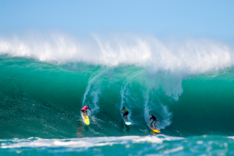 eddie aikau surfing internet