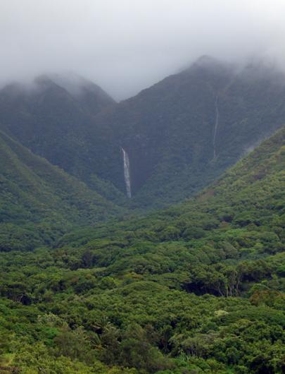 Halawa Valley1