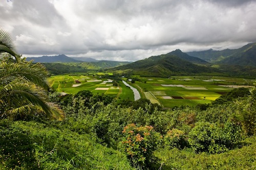 top_five_favorite_Hawaii_valleys_Facebook_poll_results top_five_favorite_Hawaii_valleys_Facebook_poll_results