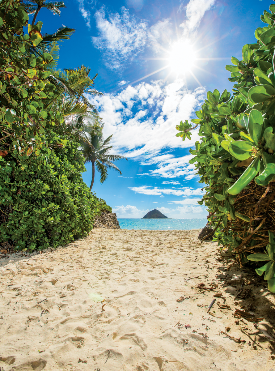 hawaii magazine subscription