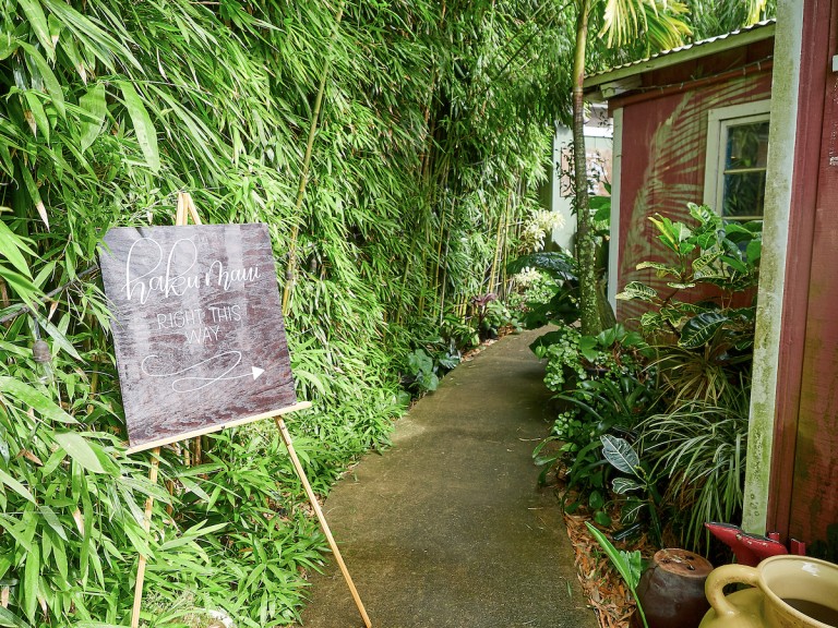 HiM1906-dc-Maui-Day2-3253 (1)