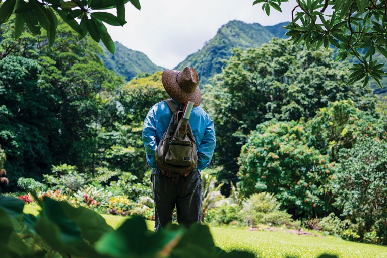 HiM1908-AY-Forest-Bathing-6171