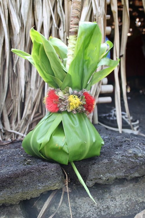 Hawaii_Volcano_hula_plants_seminar Hawaii_Volcano_hula_plants_seminar