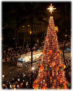 HonoluluCityLightsTree