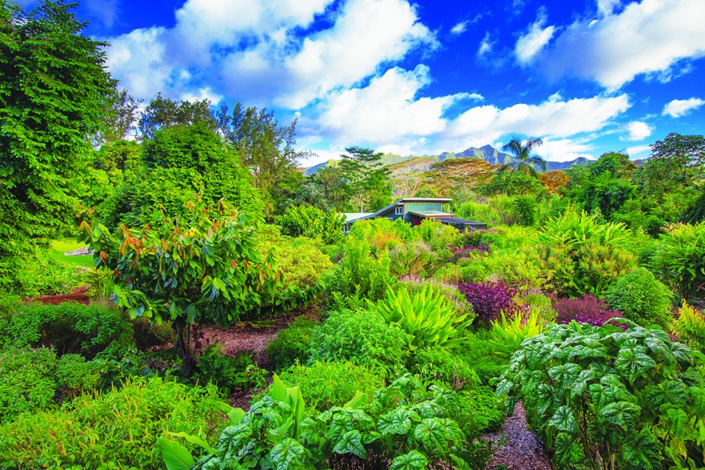 IH Kauai Farmacy 1