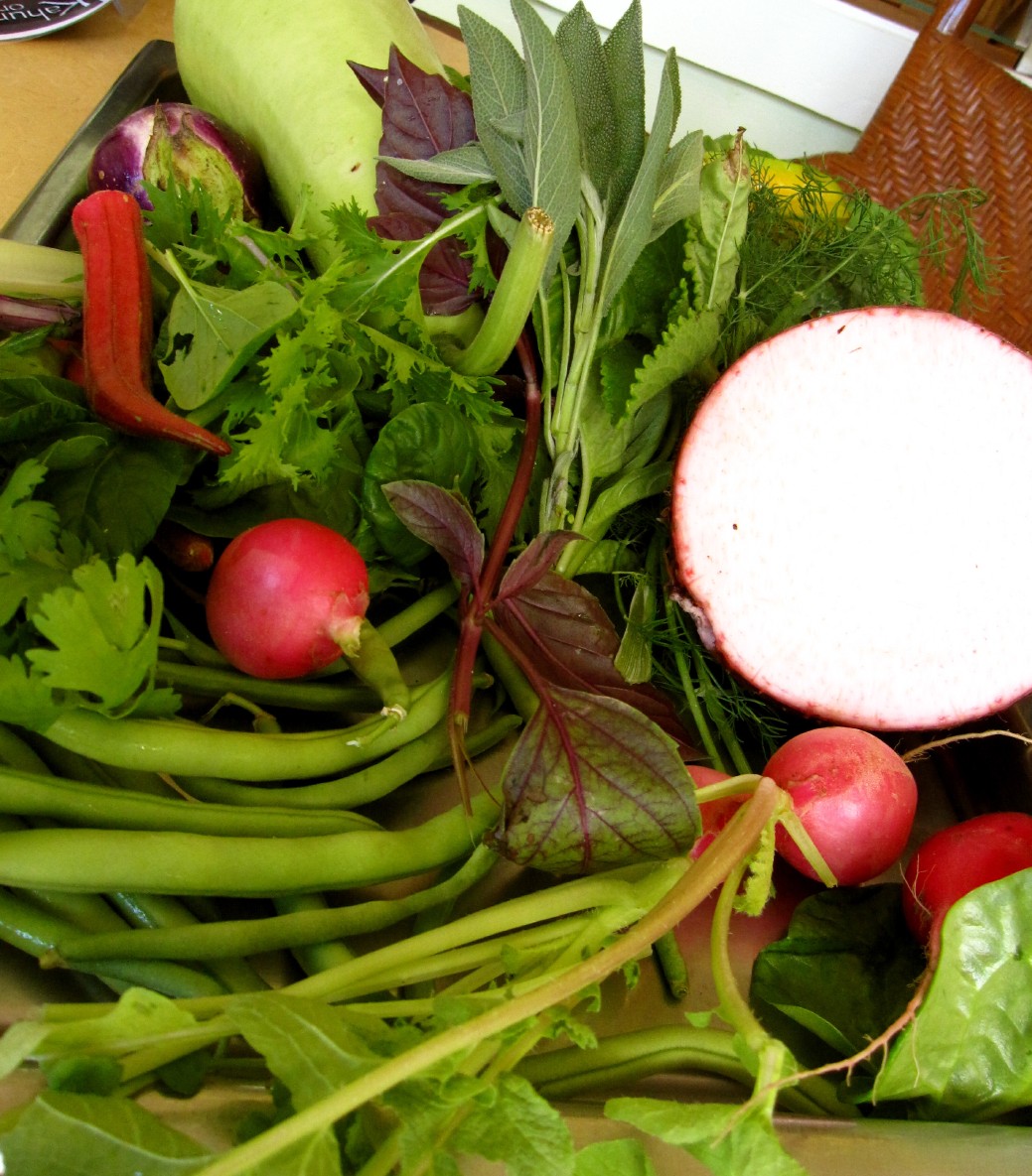 same_day_farm_to_table_Oahu_Waianae_Coast