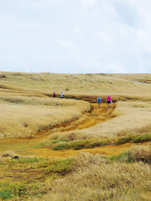 green_day_papakolea_beach_green_sand_Hawaii_island