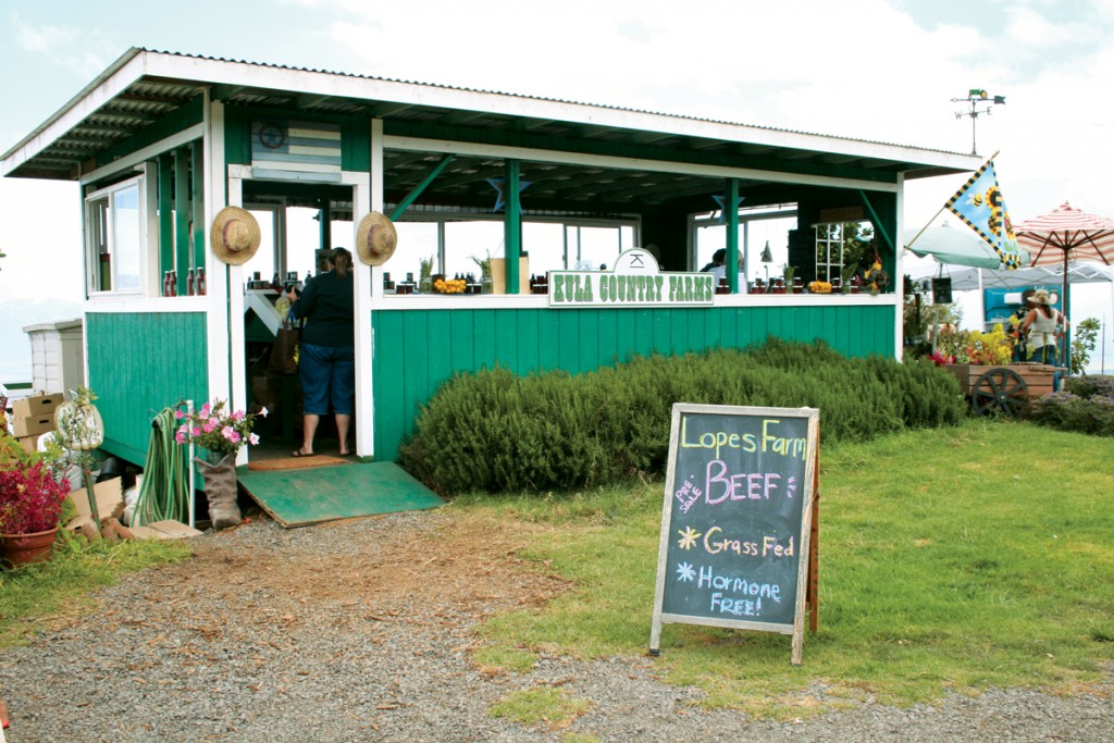 Kula Country Farms