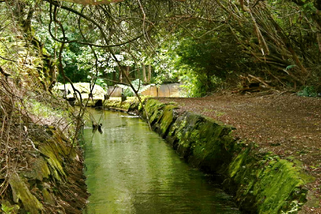 Flumin_Da_Ditch_tour_Big_Island_Hawaii_update