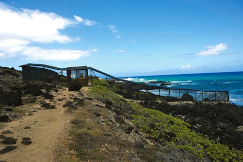 Kaena_Point_hike_Oahu