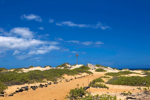 Kaena_Point_hike_Oahu