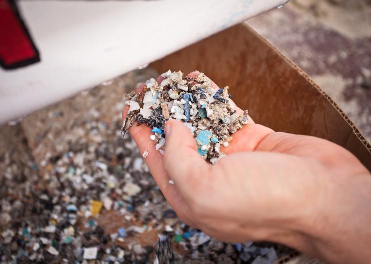 KailuaCleanup_jHawe-2452