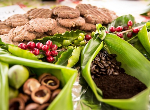 kau_coffee_festival_big_island_hawaii kau_coffee_festival_big_island_hawaii