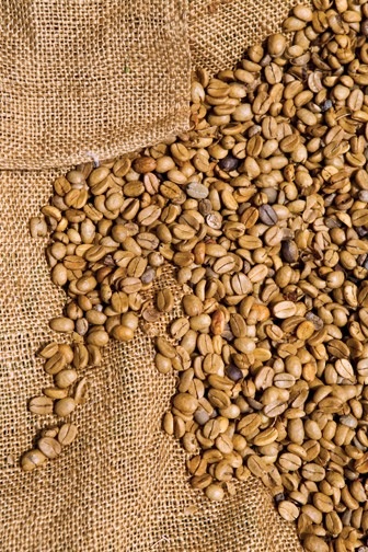 Hawaii_Big_Island_Kau_coffee_competition