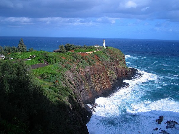 Landlubbers_Guide_to_Whale_Watching Landlubbers_Guide_to_Whale_Watching