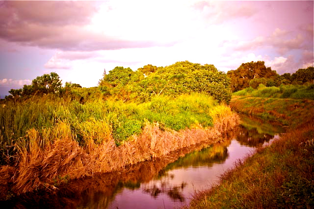 Flumin_Da_Ditch_tour_Big_Island_Hawaii_update