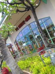 L&L Creates_3_lb_Plate_Lunch_I_eat_it