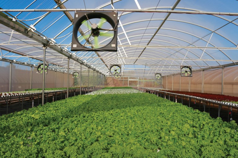mari's gardens