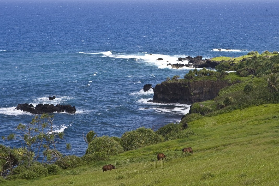 best_of_Hawaii_favorite_road_trips