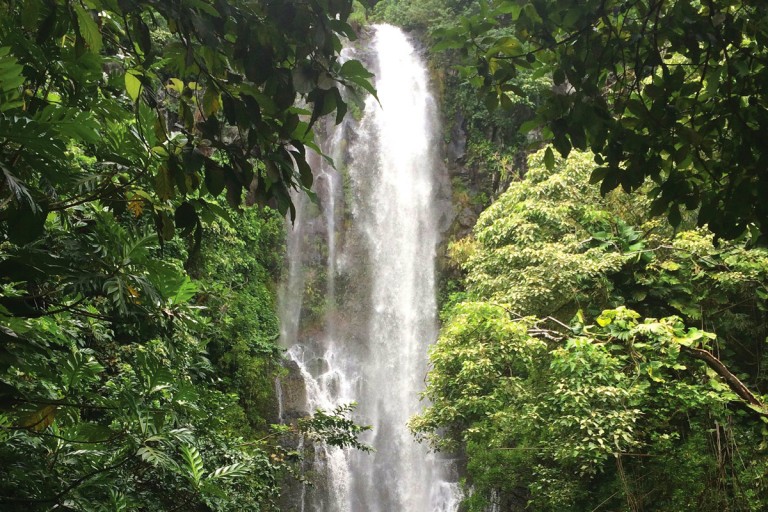 Maui_opener