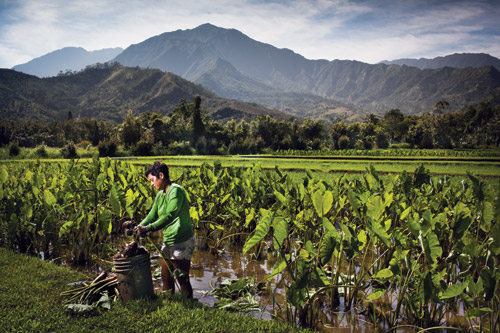 MikeCoots_HawaiiMagazine_Waipa-9151