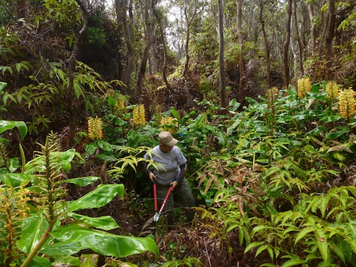 hawaii_national_public_lands_day_volcanoes_national_park
