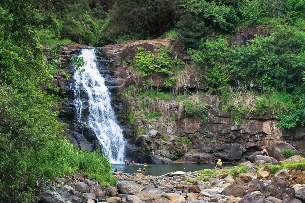 waimea valley