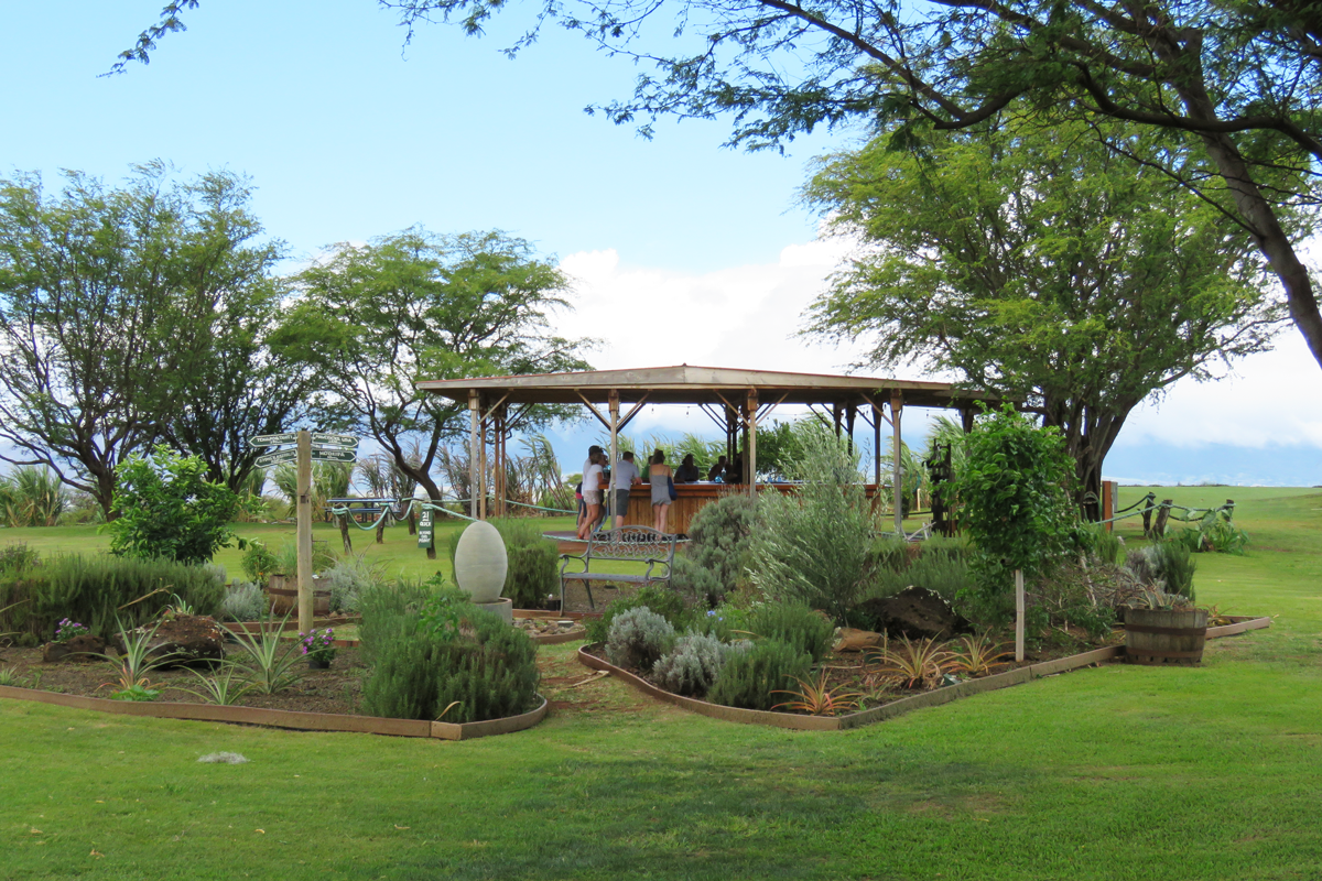 ocean vodka tour maui