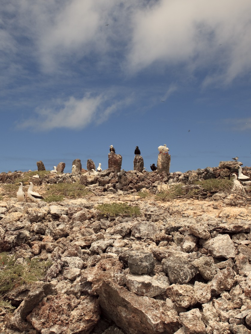 Hawaii_Papahanaumokuakea_Marine_National_Monument_World_Heritage_site