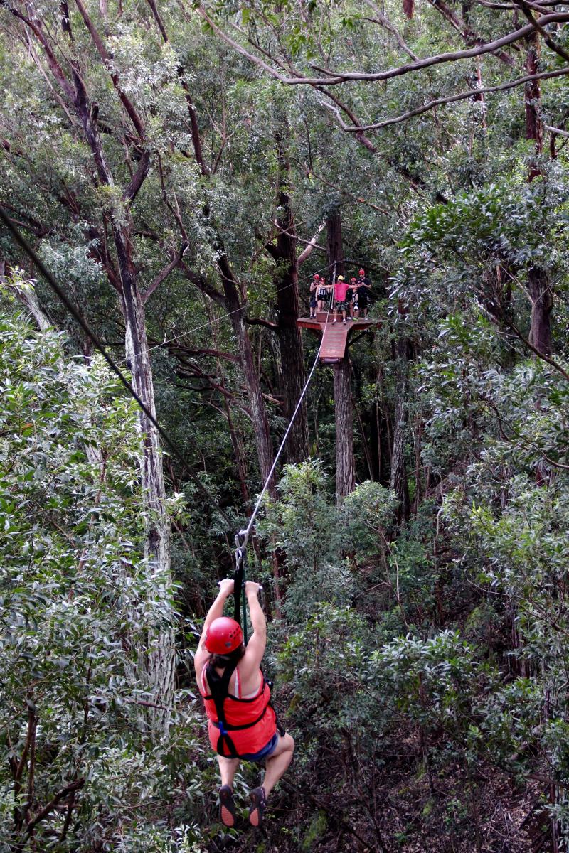 piiholo zipline maui