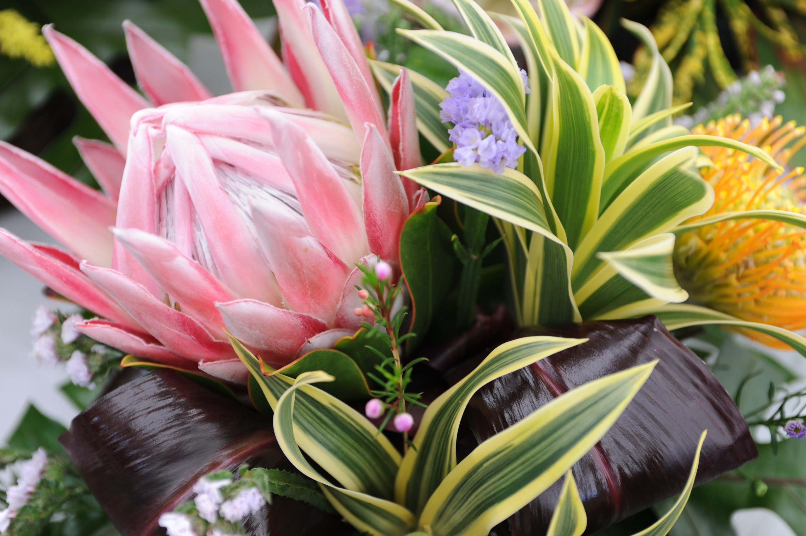 Punahou_Carnival_Oahu_2011_guide