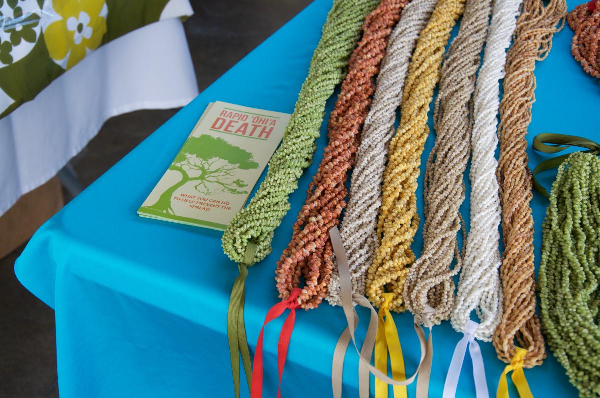 hilo shopping fair merrie monarch