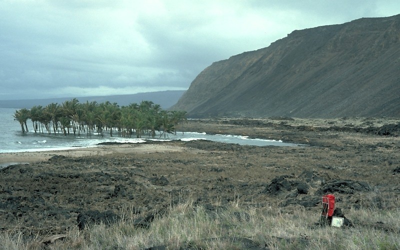 tsunami_Hilo_Big_Island_Hawaii tsunami_Hilo_Big_Island_Hawaii