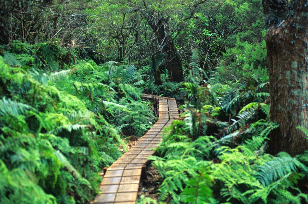 untouched_Hawaii_natural_wonders_preserved_forever